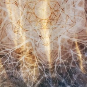 Sacred geometry crop top